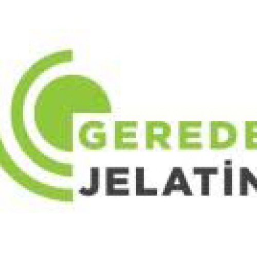 GEREDE JELATİN