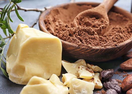 Kakao Yağı Hakkında Bilmeniz Gerekenler