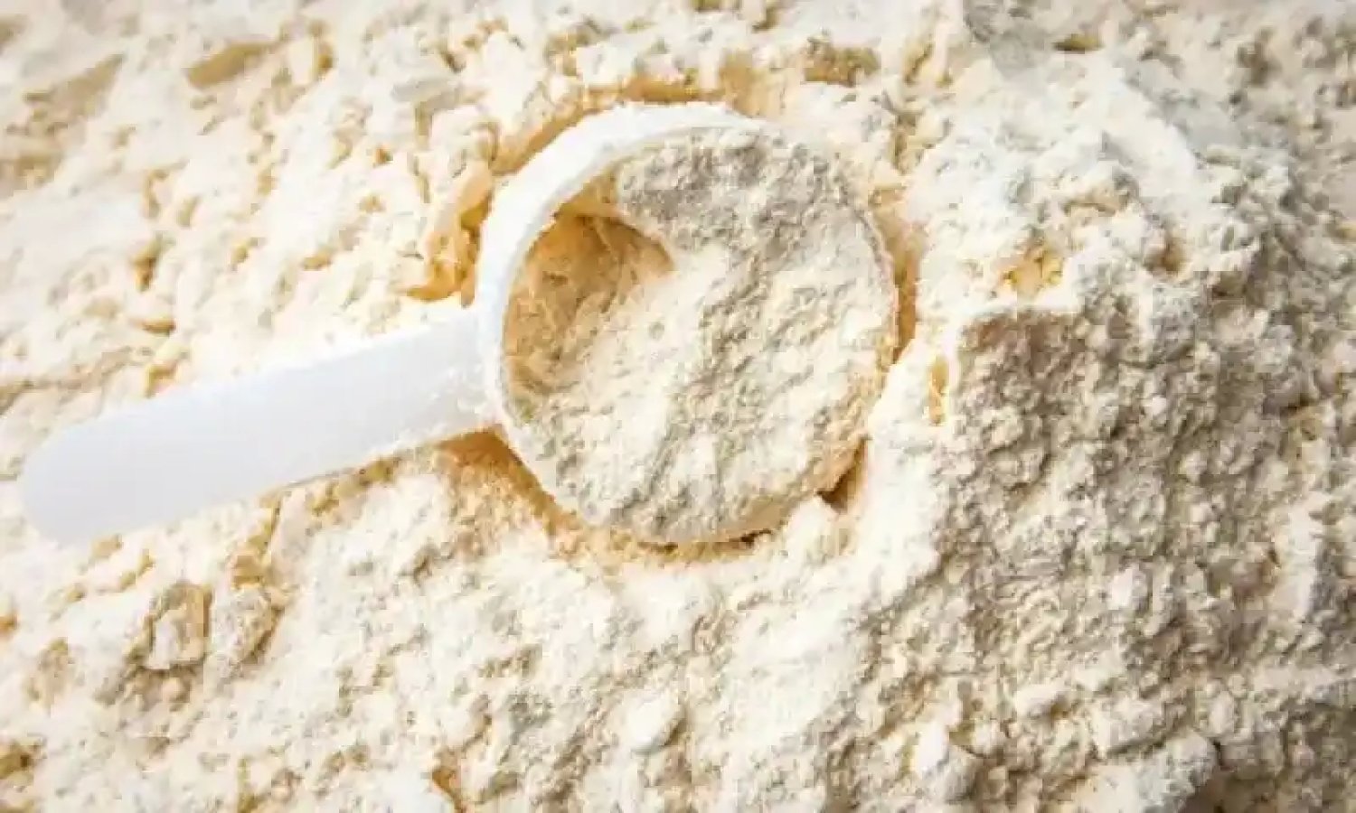 Peynir Altı Suyu Tozu (Whey Powder) Nedir? Faydaları ve Kullanımı